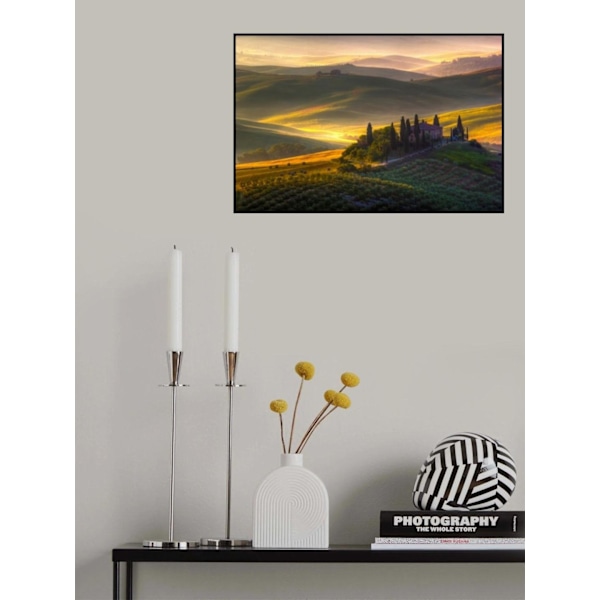 Of Green And Gold MultiColor 70x100 cm