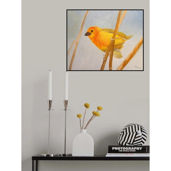 Saffron Finch MultiColor 70x100 cm