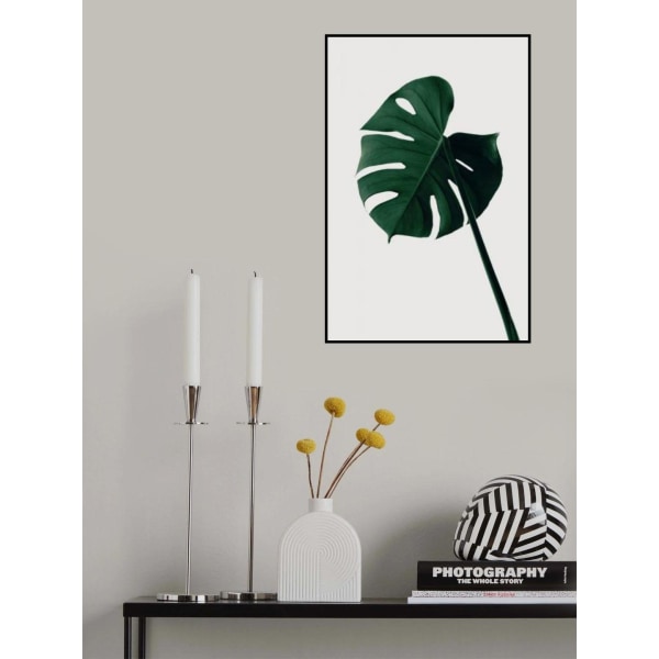 Monstera Natural 07 MultiColor 70x100 cm