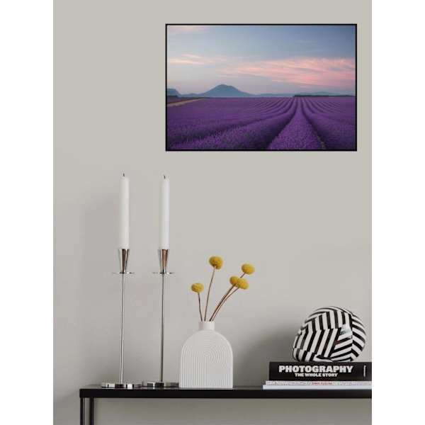 Lavender Field MultiColor 21x30 cm
