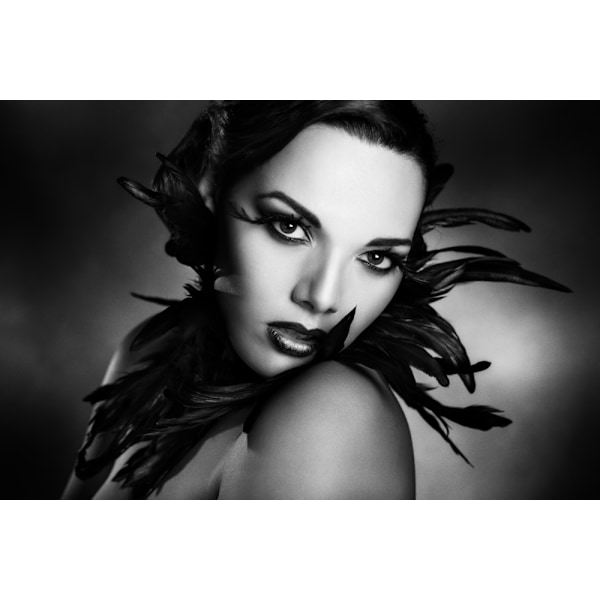 The Black Feathers MultiColor 70x100 cm