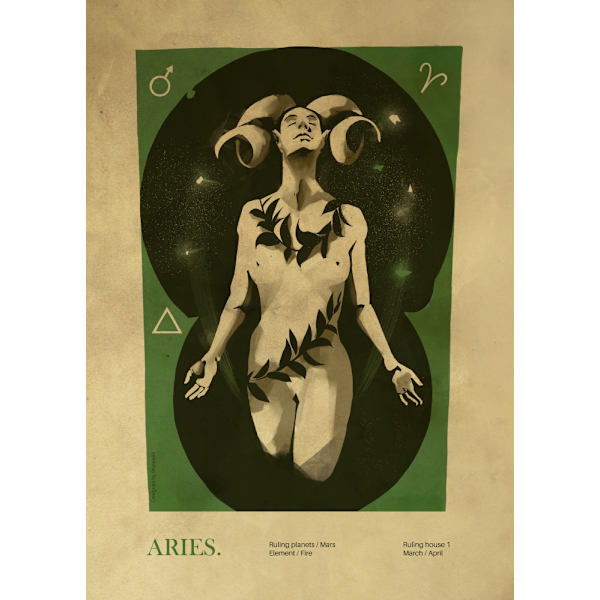 Aries Print MultiColor 30x40 cm