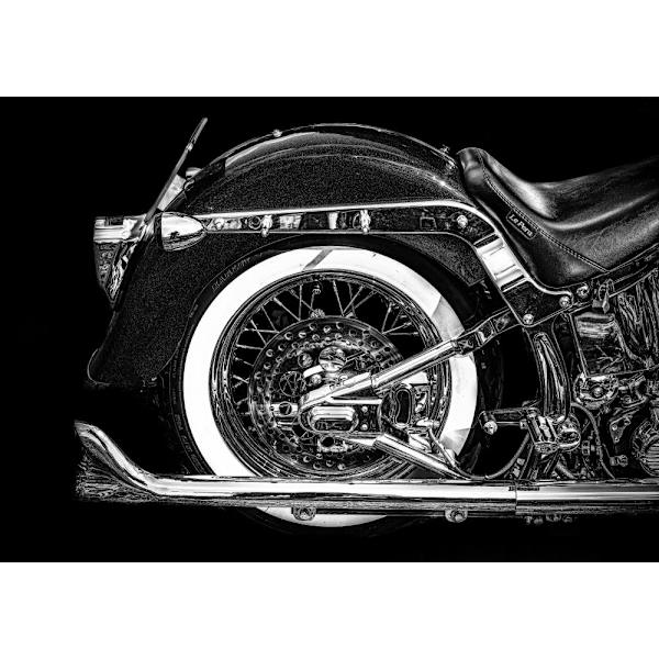 Harley MultiColor 70x100 cm