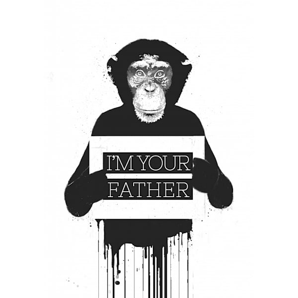 I'm Your Father Ii MultiColor 30x40 cm
