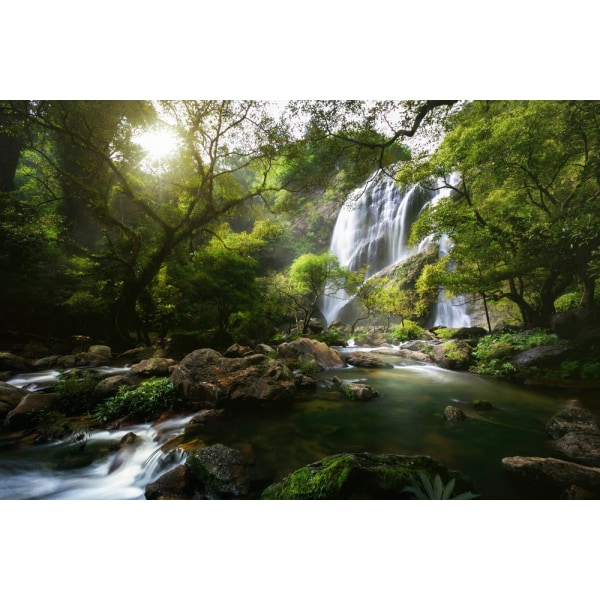 Mountain Stream MultiColor 30x40 cm