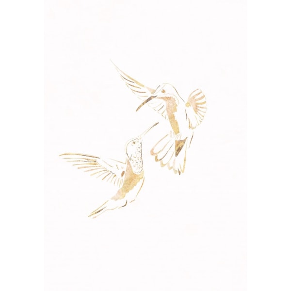 Guld Kolibri Line Art Silhuetter 4 MultiColor 50x70 cm