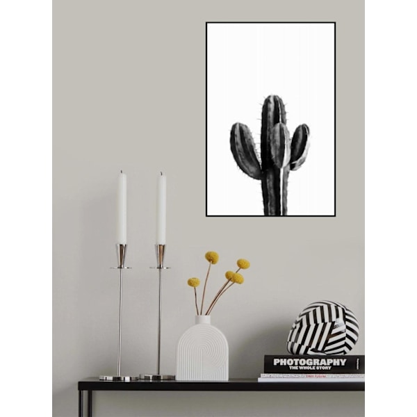 Cactus Black And White 03 MultiColor 70x100 cm