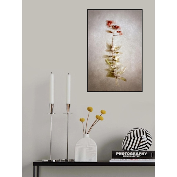 Exposed MultiColor 70x100 cm