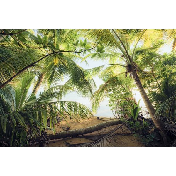 Pirates Nest MultiColor 70x100 cm