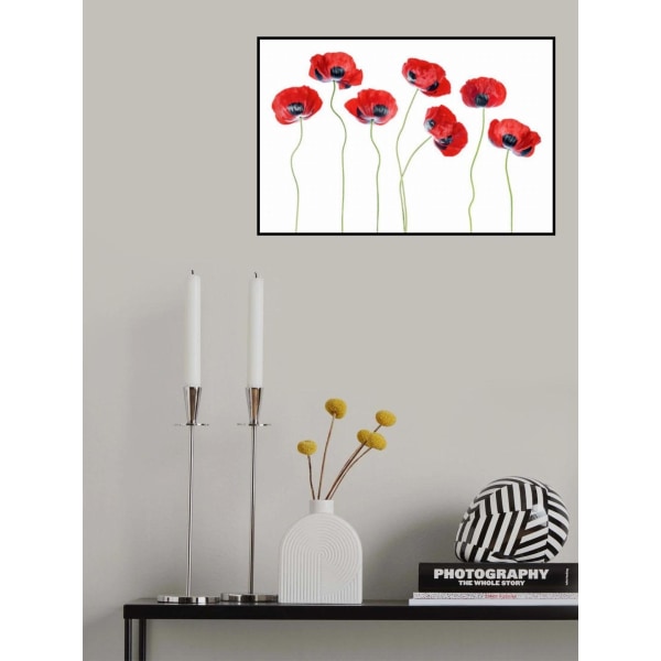 Ladybird Poppies MultiColor 30x40 cm