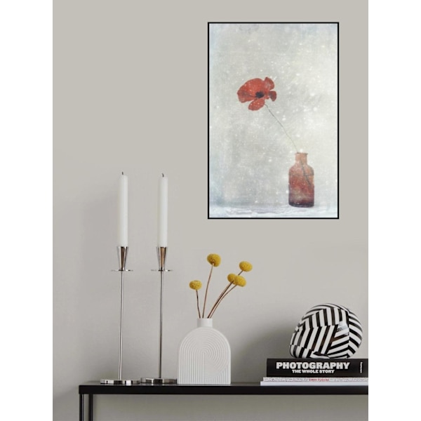 Winter Poppy MultiColor 50x70 cm