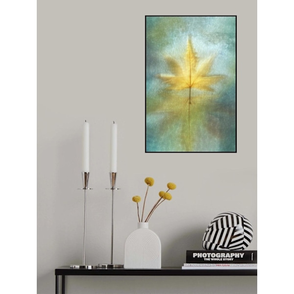 Reflections MultiColor 70x100 cm