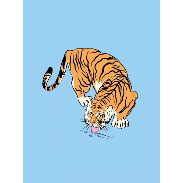 Tiger By The River MultiColor 21x30 cm
