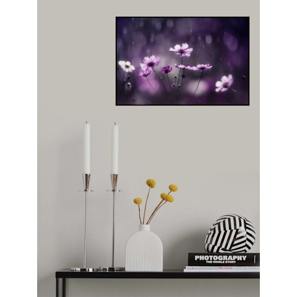 Purple Flash MultiColor 50x70 cm