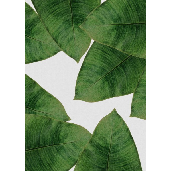 Banana Leaf Ii MultiColor 21x30 cm