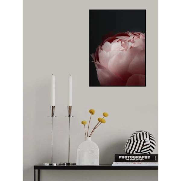 Moody Blush Peony Ii MultiColor 30x40 cm