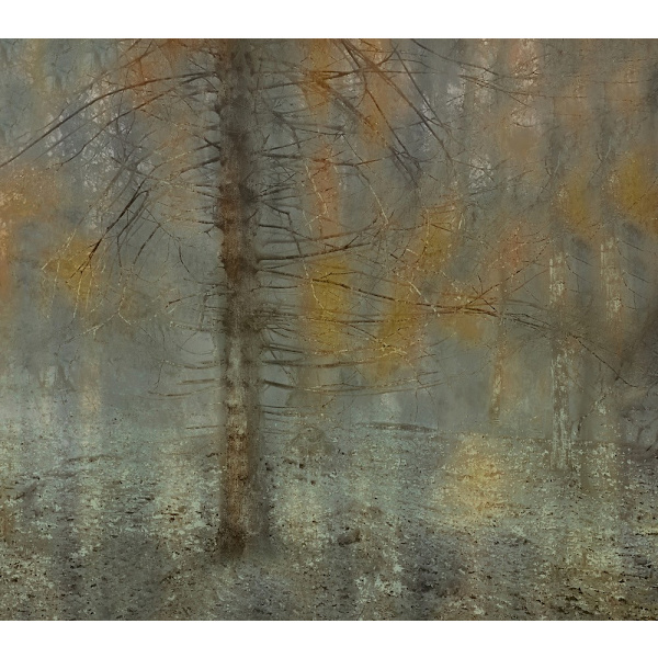 Pine Tree MultiColor 21x30 cm