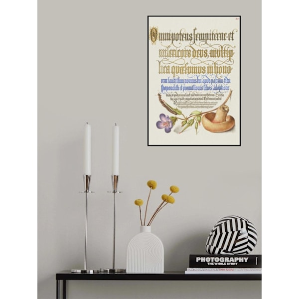 Svampeplakat MultiColor 21x30 cm