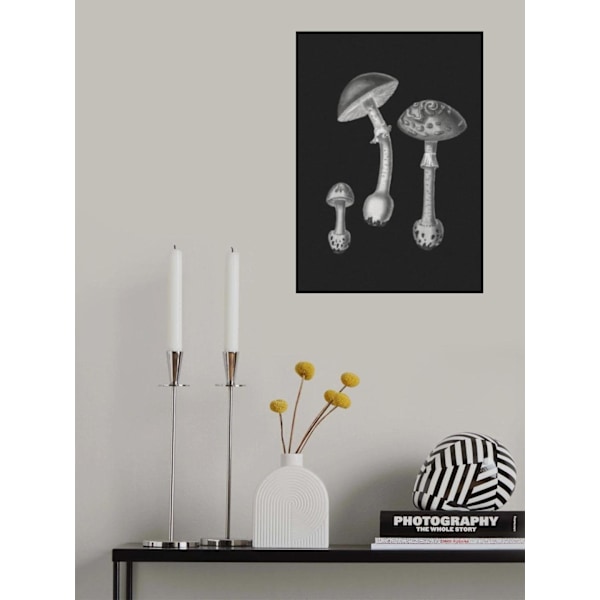 Amanita Muscaria Black Backgound Bw MultiColor 30x40 cm