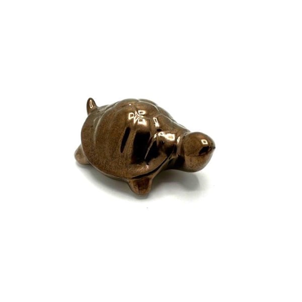 Copper colored Turtle