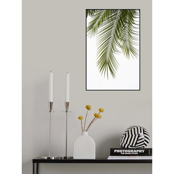 Palmunlehtien lehvästö Valokuva Ii MultiColor 70x100 cm