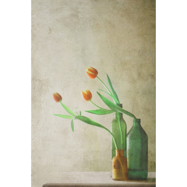 Three Tulips MultiColor 30x40 cm