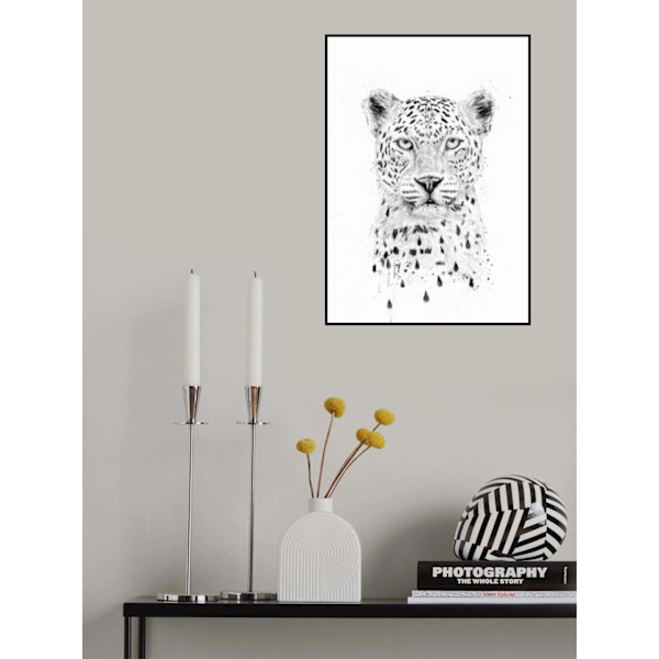 Sadetta taas MultiColor 70x100 cm