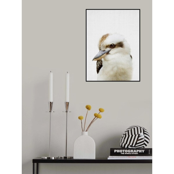 Peekaboo Kookaburra MultiColor 50x70 cm