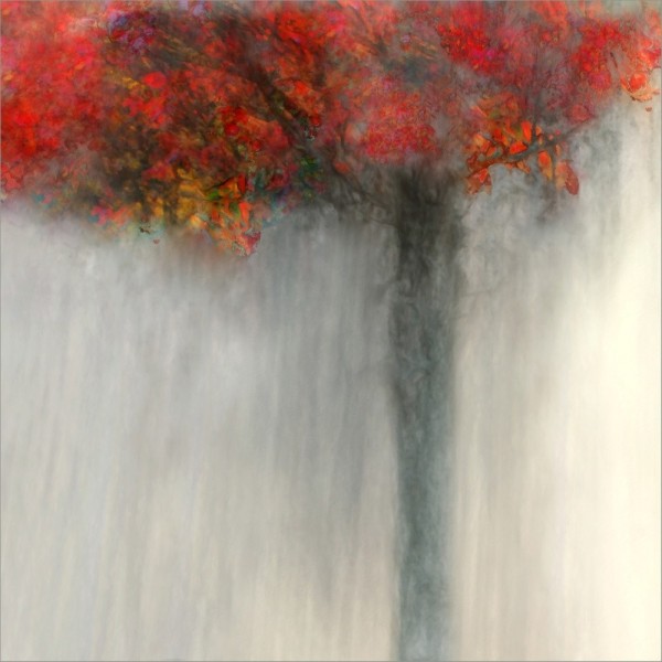 Fiery Autumn MultiColor 30x40 cm