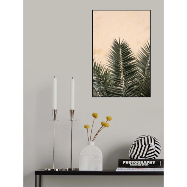 Palm Leaves And Wall_1 MultiColor 50x70 cm