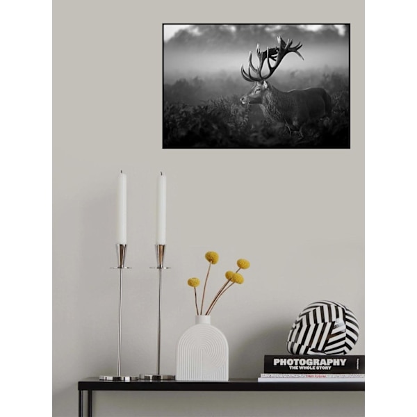 Aurinkoinen aamu MultiColor 50x70 cm