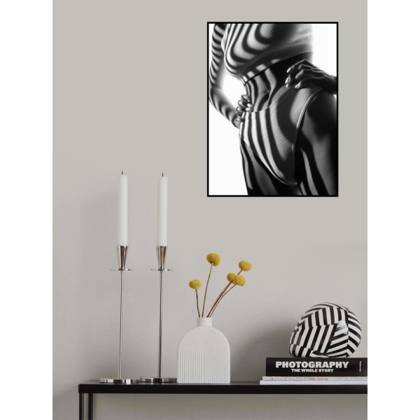 Zebra MultiColor 21x30 cm