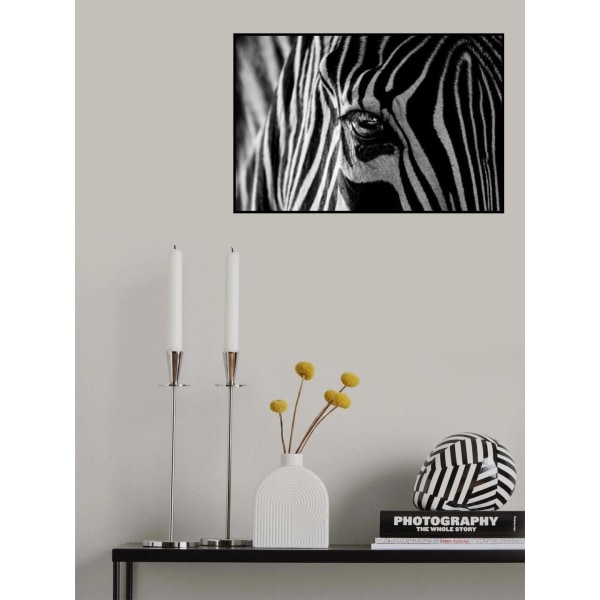 Abstrakt Zebra MultiColor 50x70 cm