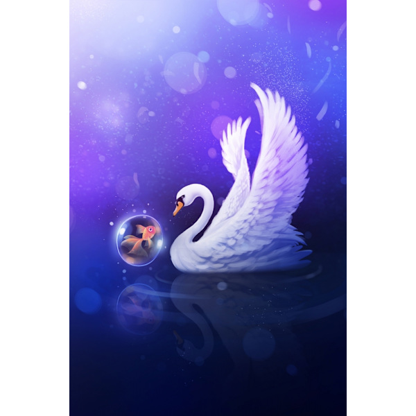 Dark Purle Swan MultiColor 30x40 cm