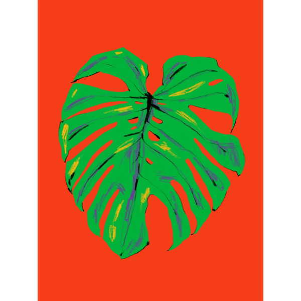 Monstera Leaf Red MultiColor 70x100 cm