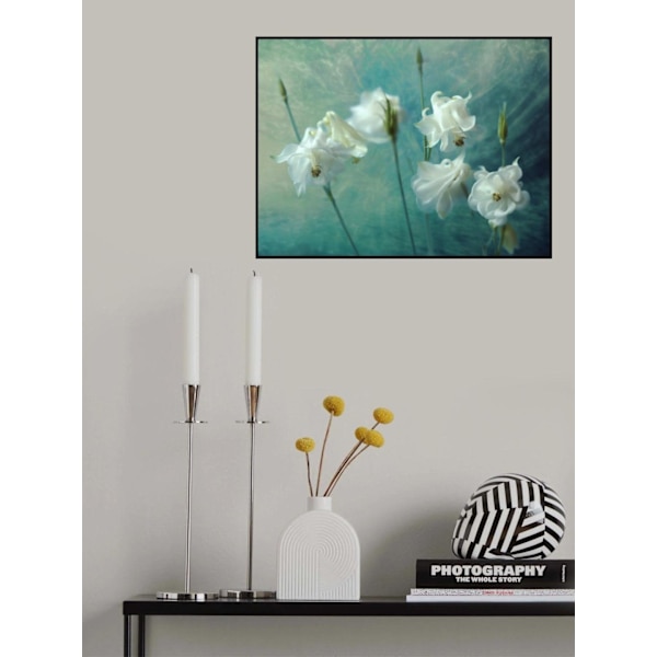 Crowns Of Thorns MultiColor 70x100 cm
