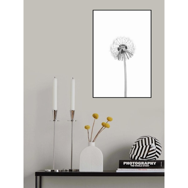Dandelion MultiColor 70x100 cm