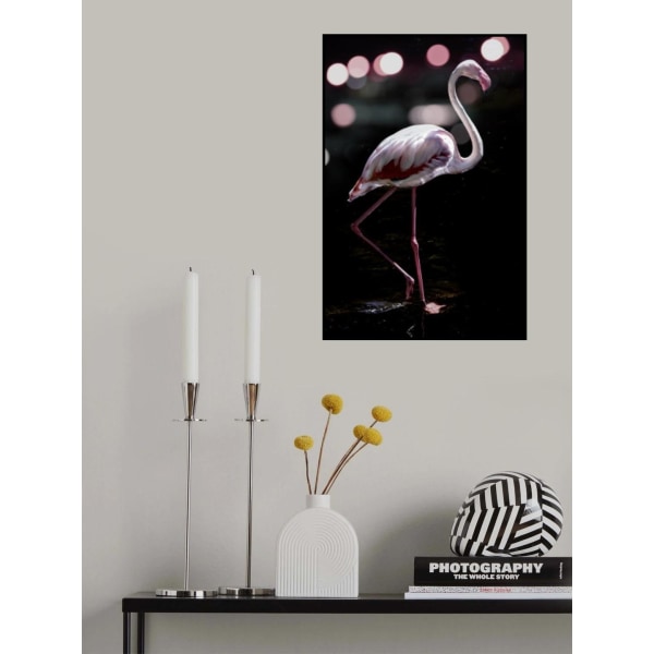 Dancing Flamingo MultiColor 30x40 cm