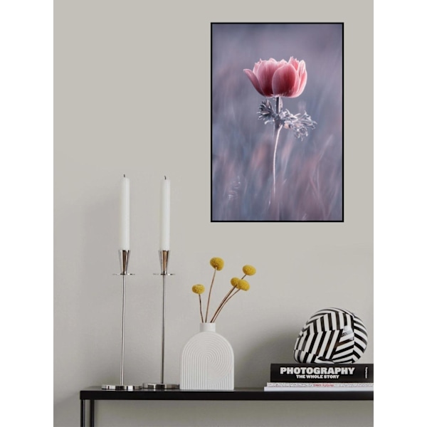 Pink ! So What ? MultiColor 70x100 cm