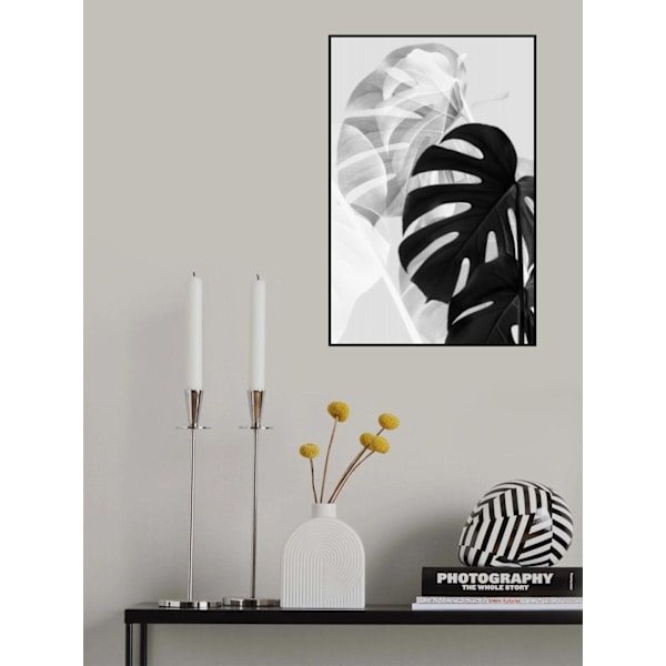 Monstera Black And White MultiColor 21x30 cm