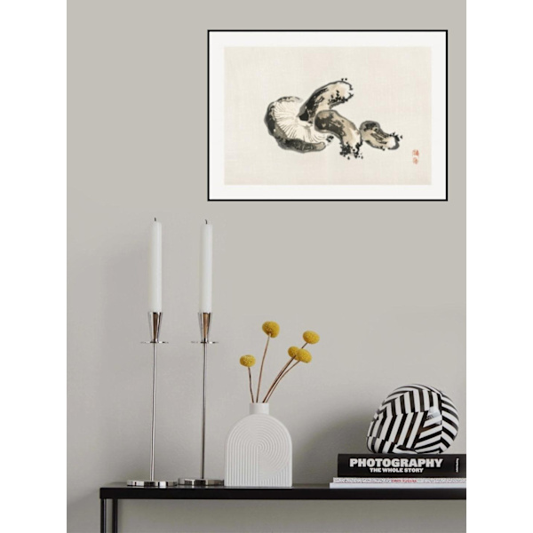 Shitake Mushroom MultiColor 50x70 cm