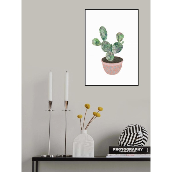 Boho Scandi Cactus 3 MultiColor 30x40 cm