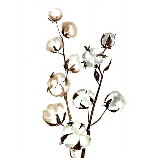 Watercolor Cotton Branch Ii MultiColor 21x30 cm
