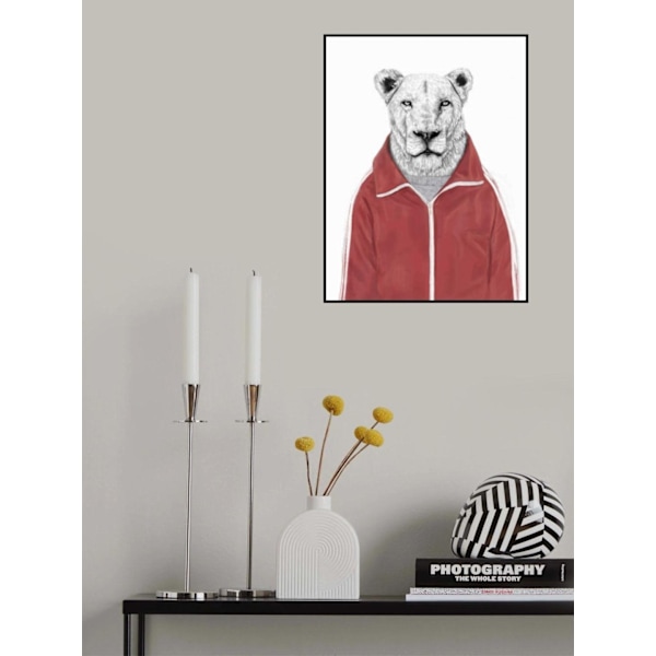 Sporty Lion MultiColor 30x40 cm