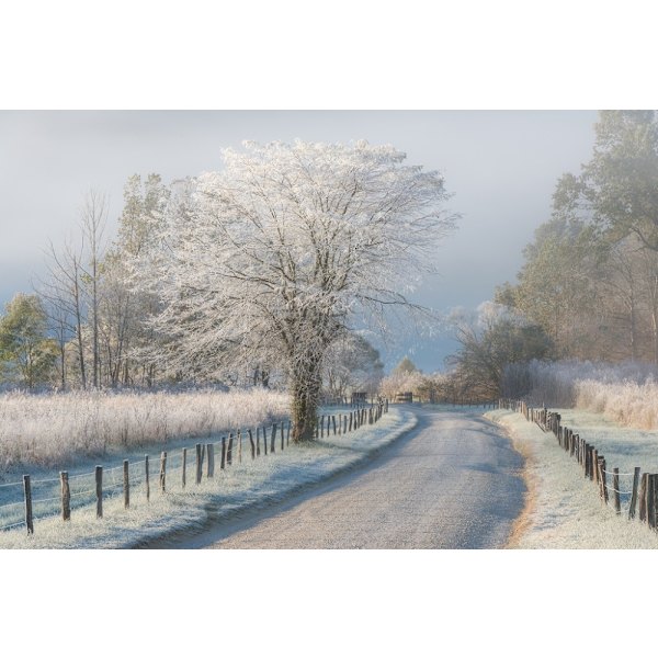 A Frosty Morning MultiColor 50x70 cm