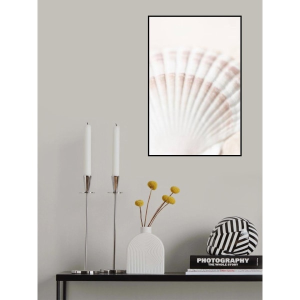 Shell MultiColor 21x30 cm