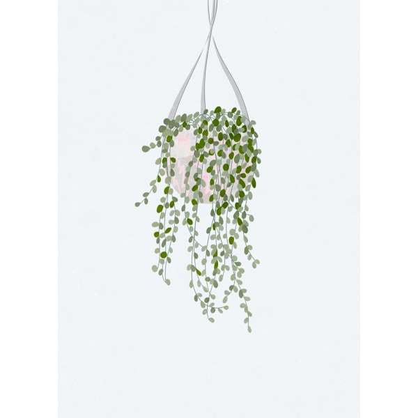 Scandi Japandi String Of Pearls MultiColor 70x100 cm