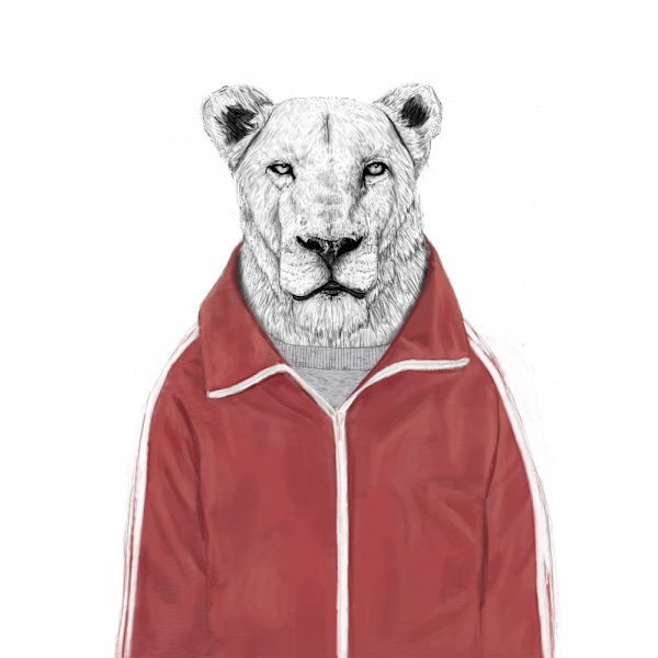 Sporty Lion MultiColor 30x40 cm