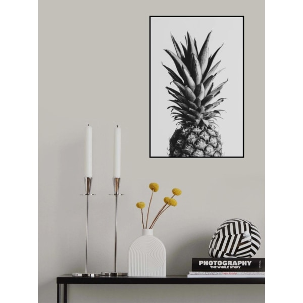 Pineapple Black Aamp White 02 MultiColor 21x30 cm