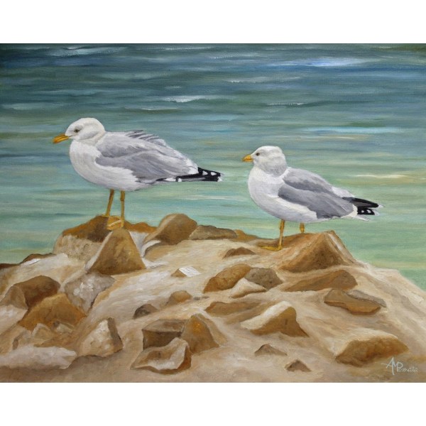 Two Of A Kind MultiColor 50x70 cm